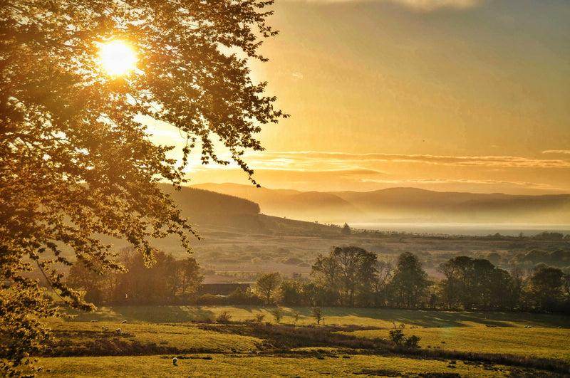 'Machrie Moor' Note Card