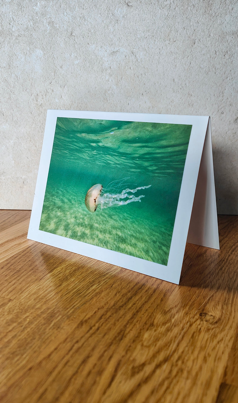 'Compass Jellyfish' Note Card