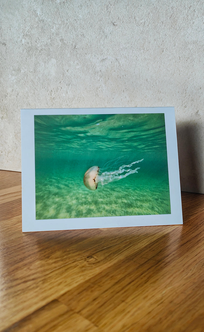 'Compass Jellyfish' Note Card