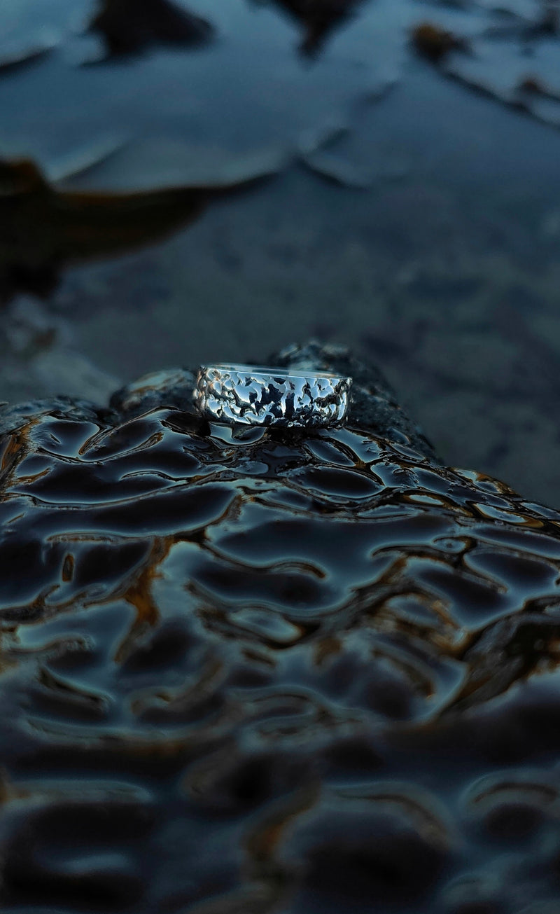 The 'Sugar Kelp' Ring