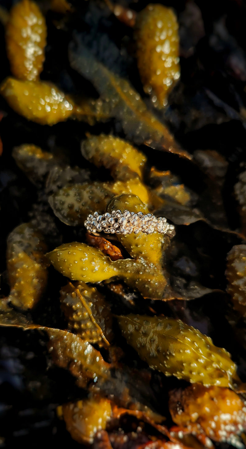 The 'Reef' Ring 9ct Yellow Gold