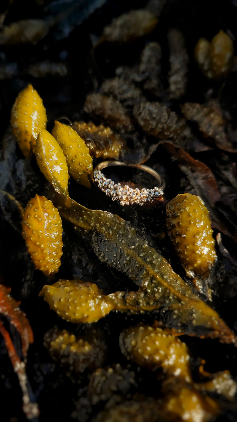 The 'Reef' Ring 9ct Yellow Gold