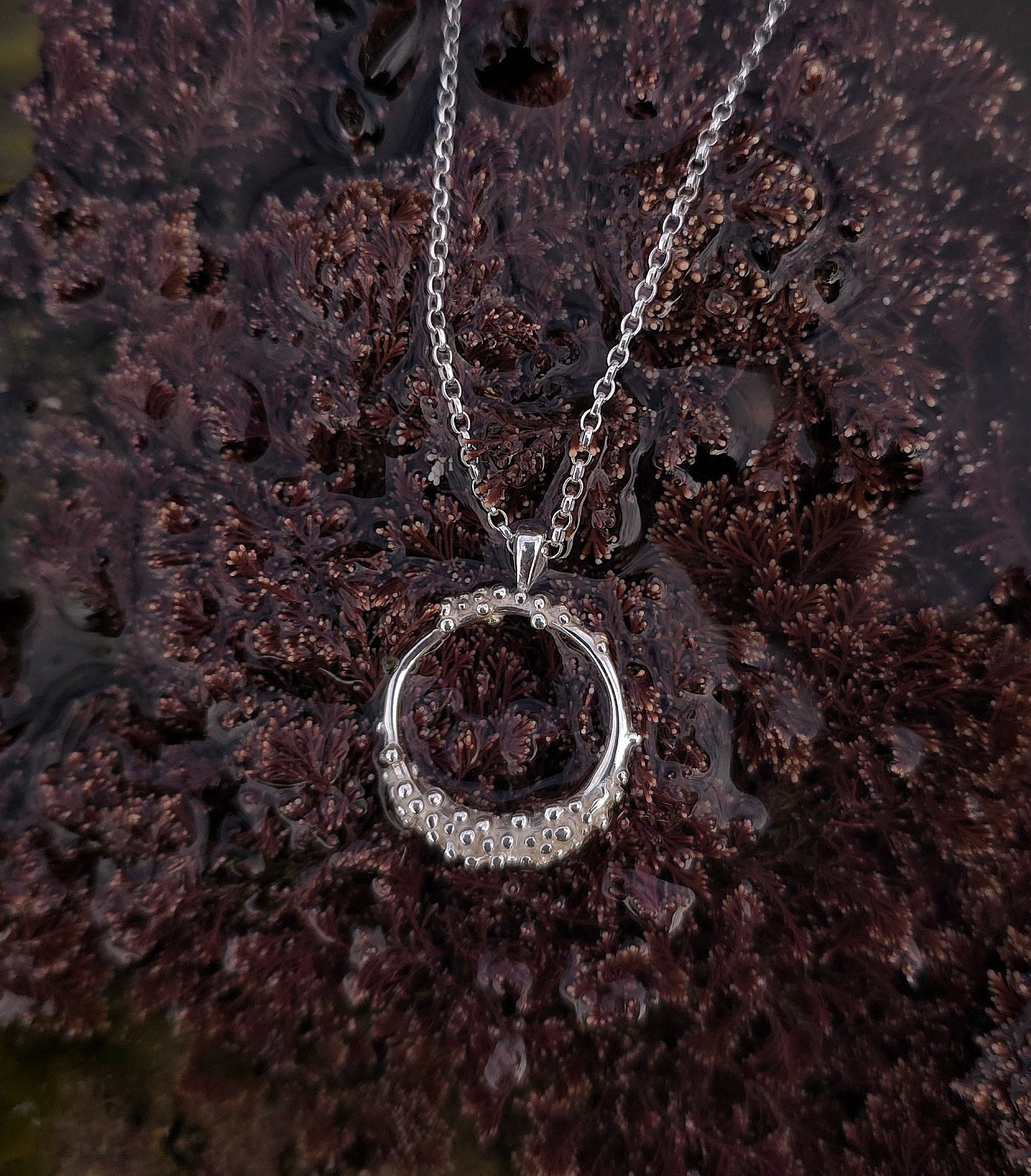 Silver Reef necklace | Sterling Silver | Coral Reef | Jess MacDonald ...