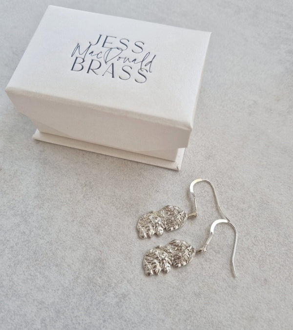 Isle of Arran 3D Earrings