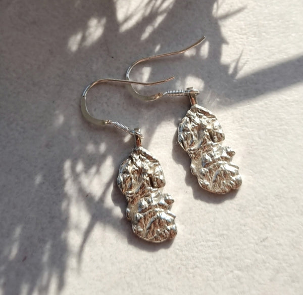 Isle of Arran 3D Earrings